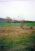 Obr. 5 - Hřbitov po úpravě